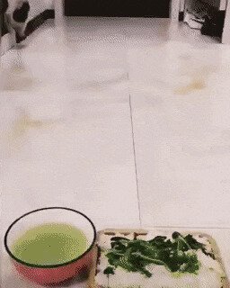 Солянка
