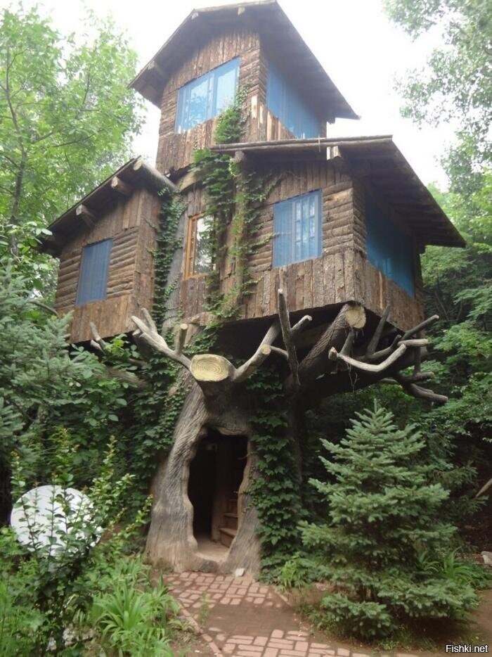 Солянка