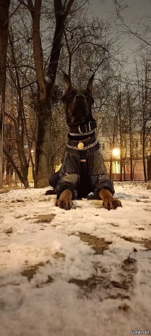 Солянка