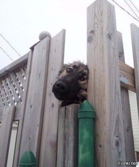 - Может зайдете
