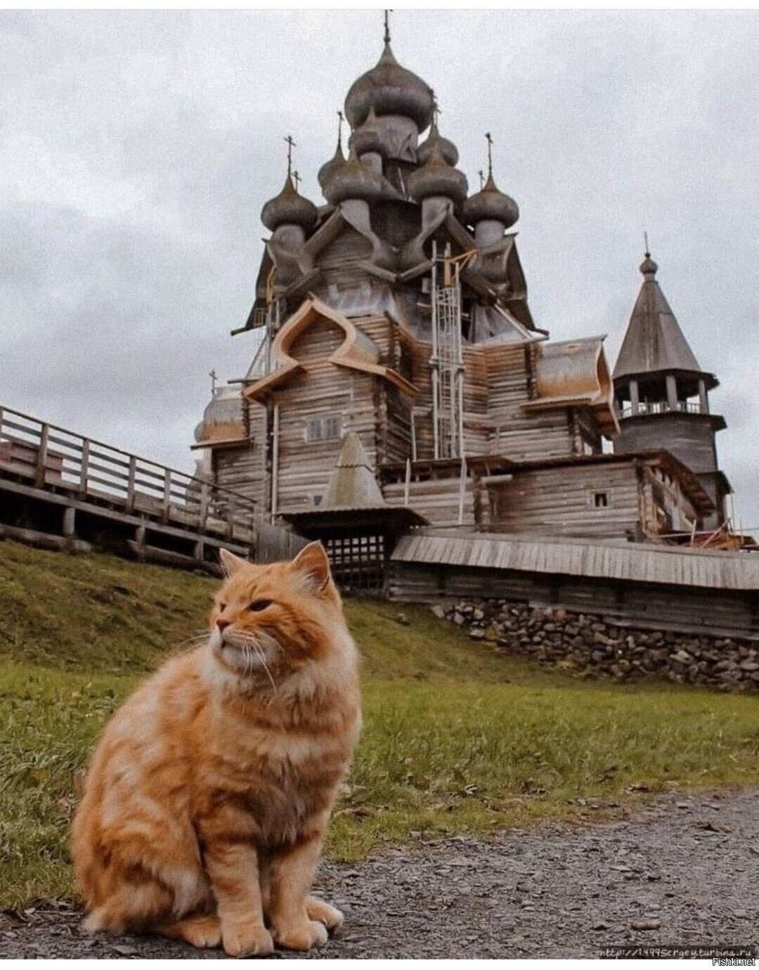 Солянка
