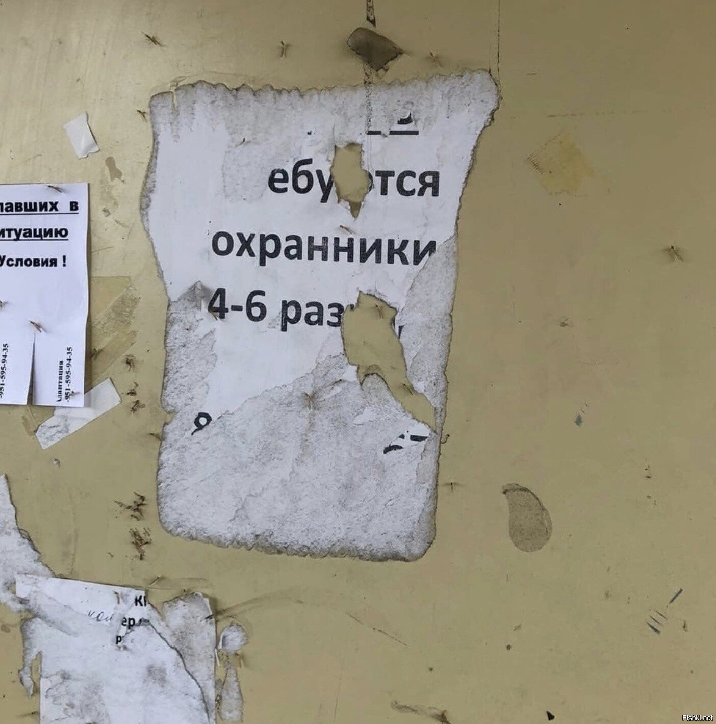 Солянка