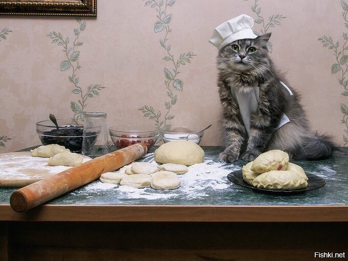 Солянка