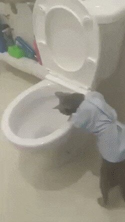 жмёт пижамка