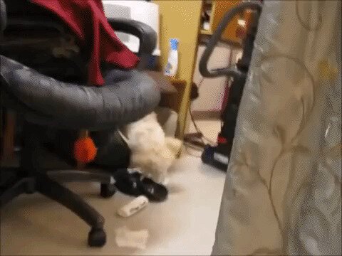 - Свидетели умрут