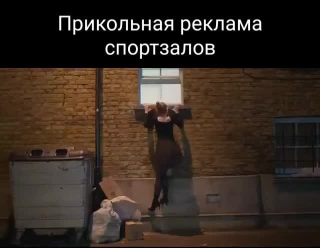 Смешные и&nbsp;добрые видео