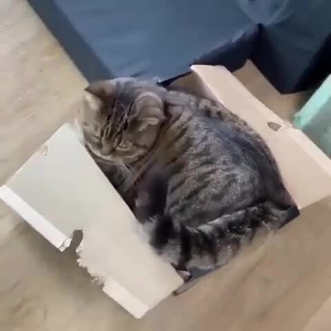 Самый лучший домик