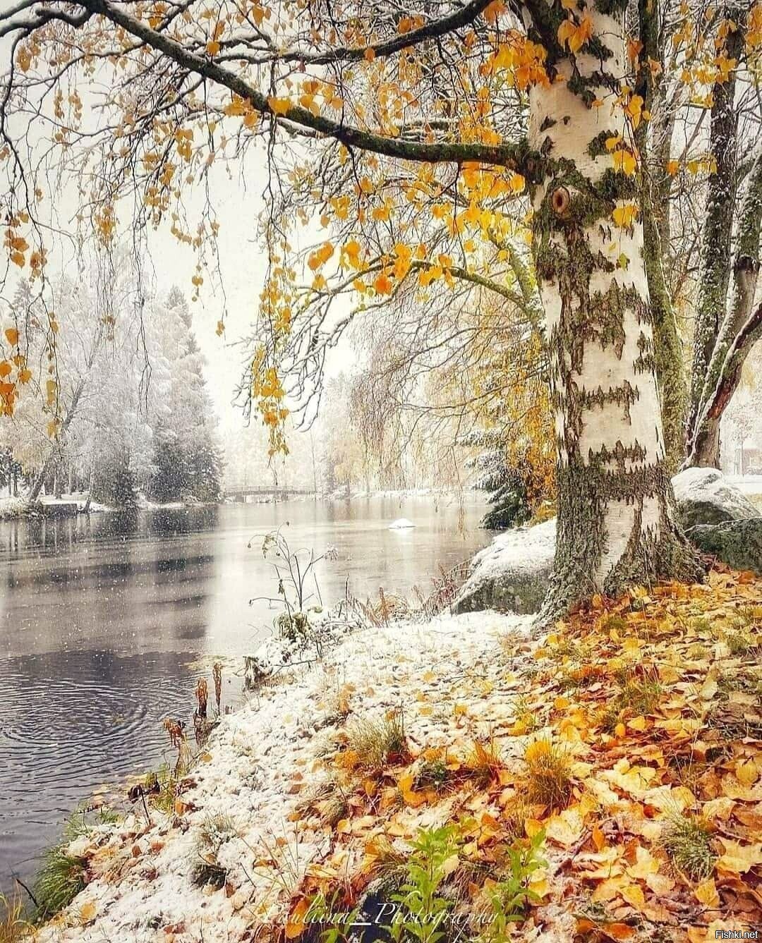 Доброе утро
