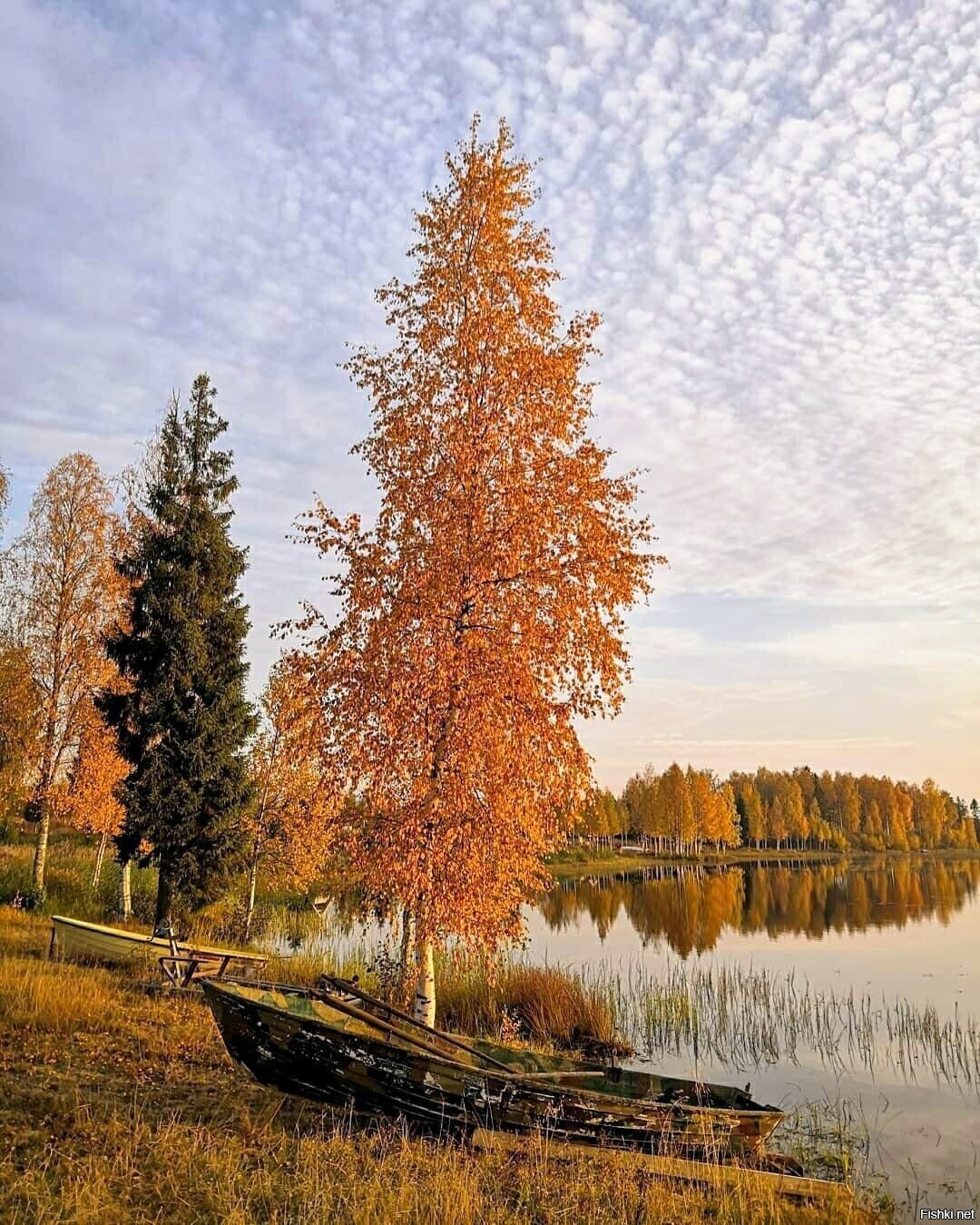 Солянка