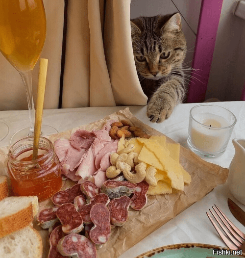 Солянка
