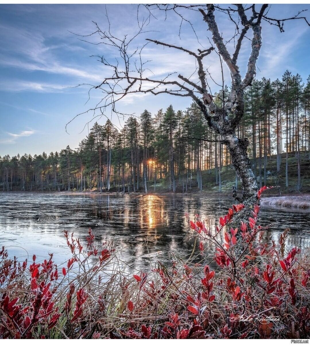 Солянка
