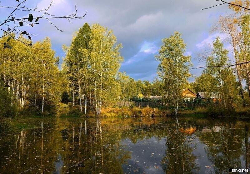 Солянка