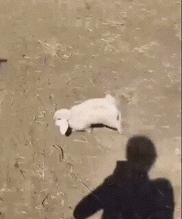 зануда и оппоненты