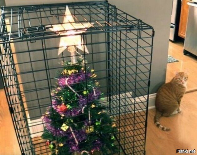 скоро