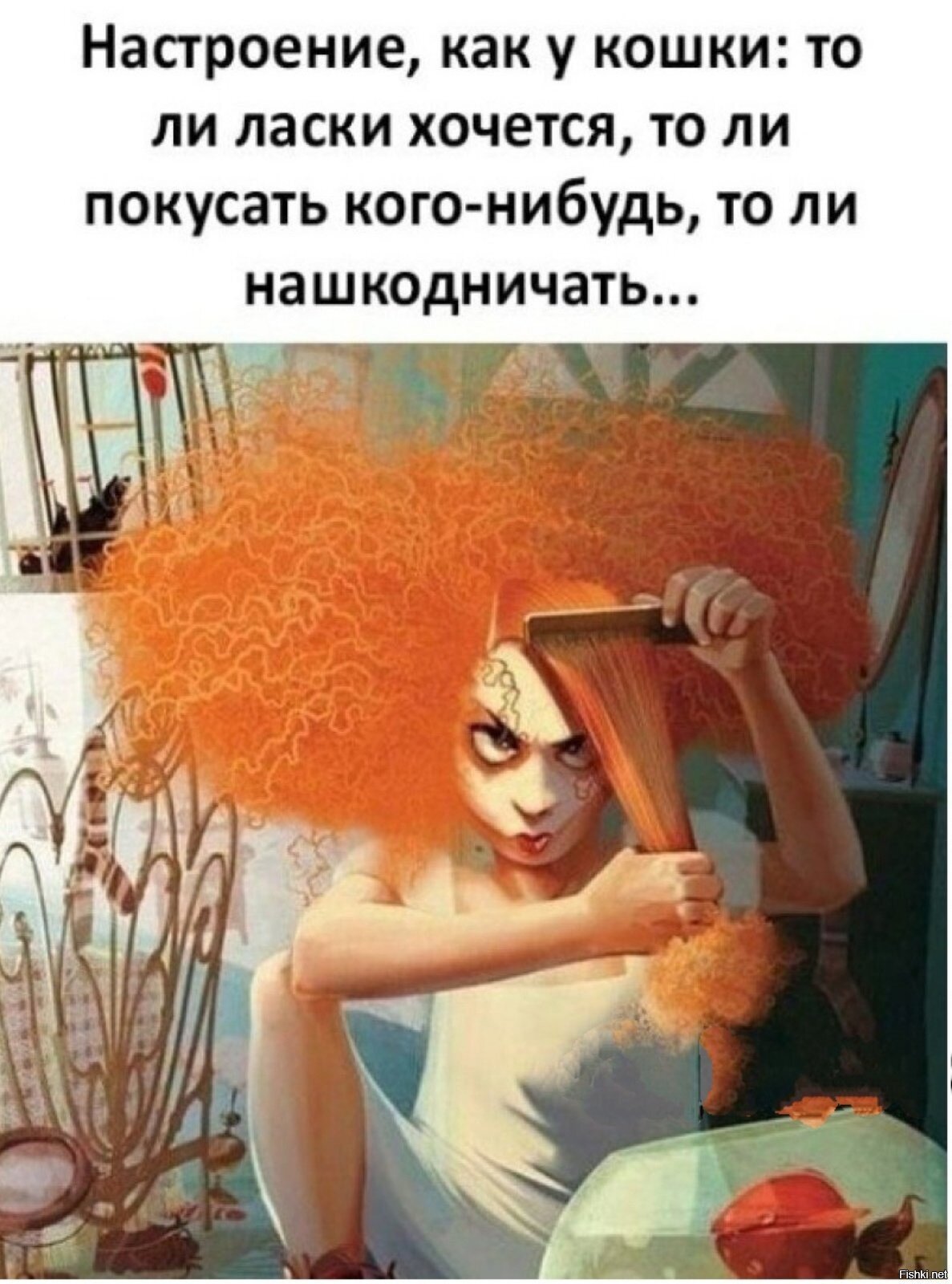 Солянка