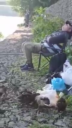 А вот утки то не дремлют