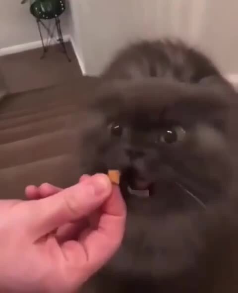 Зовущее шуршание