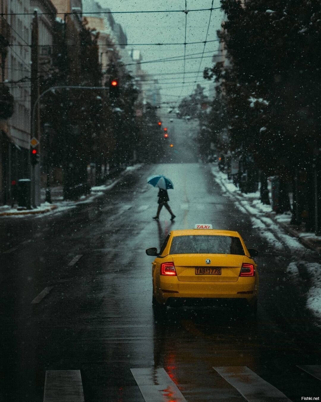 Солянка