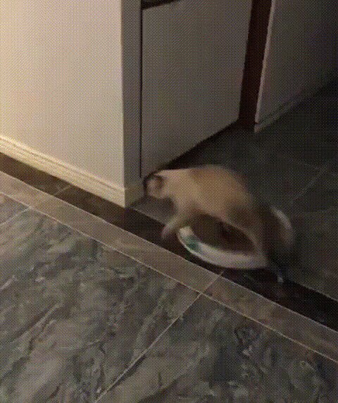 Вызывайте экзорциста