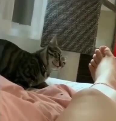 Утренний Кусь