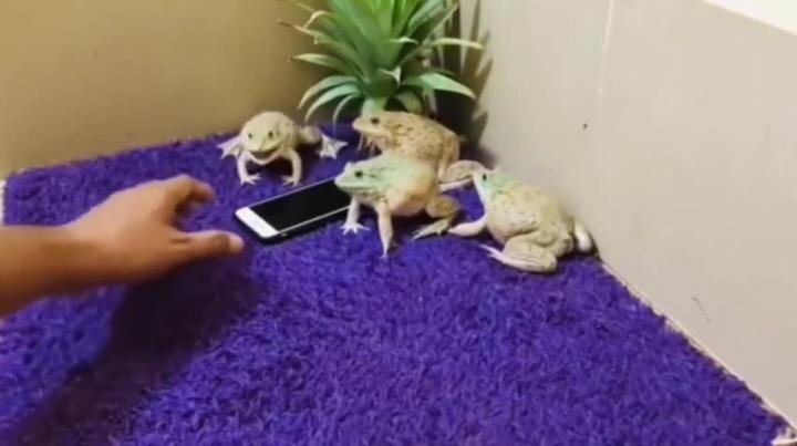 отжали мобильник))