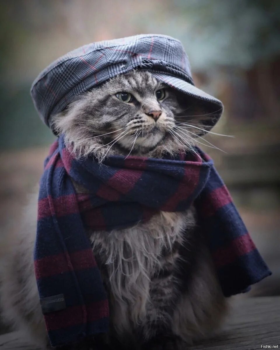 по погоде )