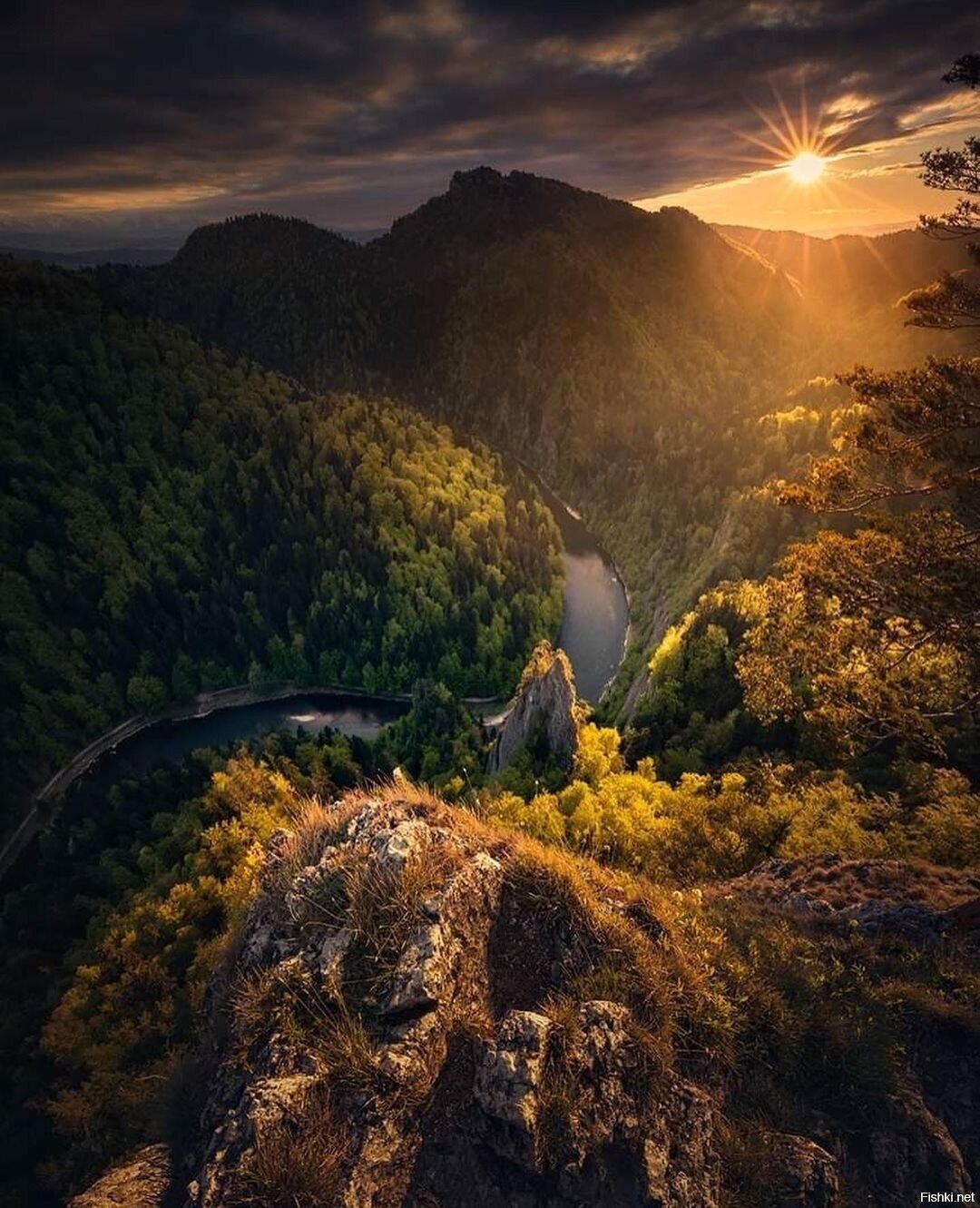 Солянка