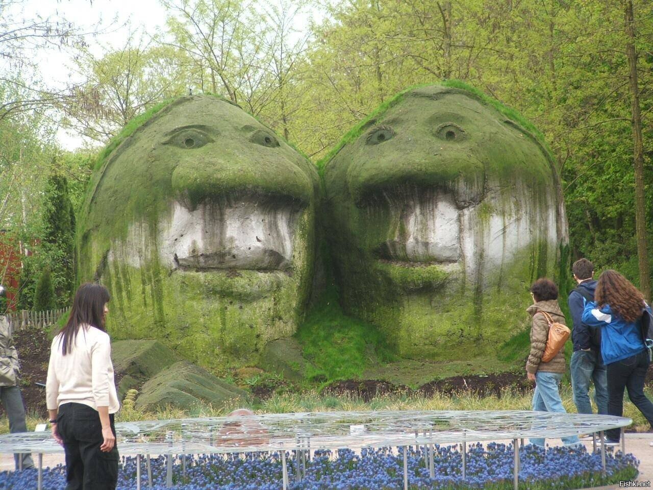 Солянка