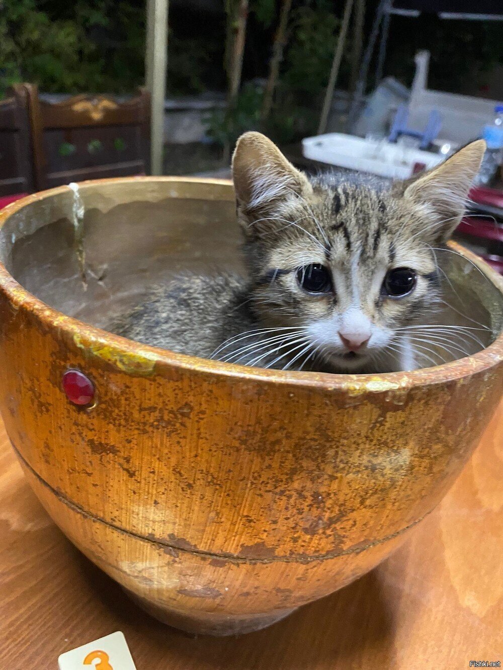 Солянка
