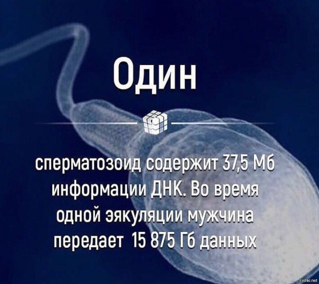 Новая легенда