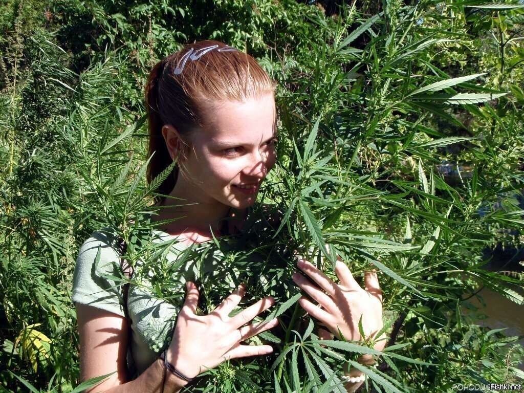 райские кущи