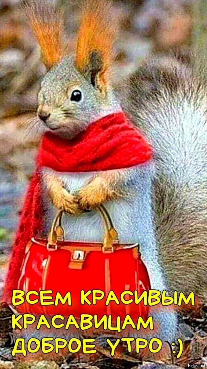 К работе готова