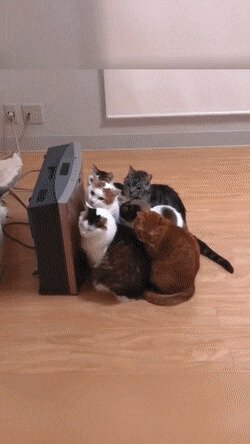 коротко о погоде