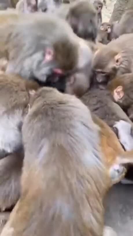 Вы поняли о чём я