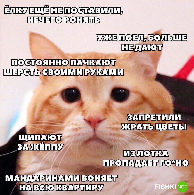 Грусть