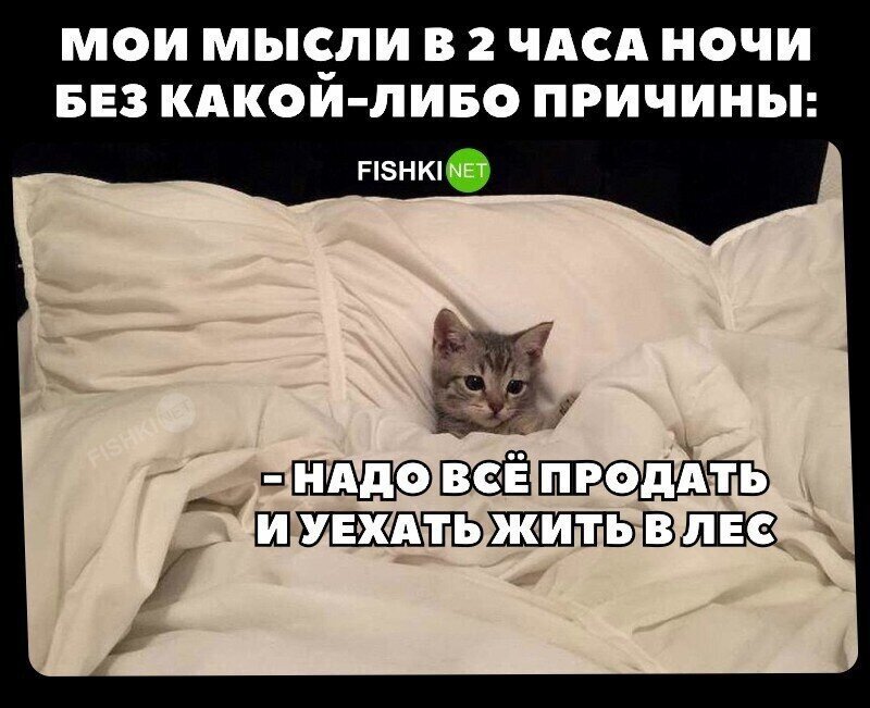 Каждую ночь так