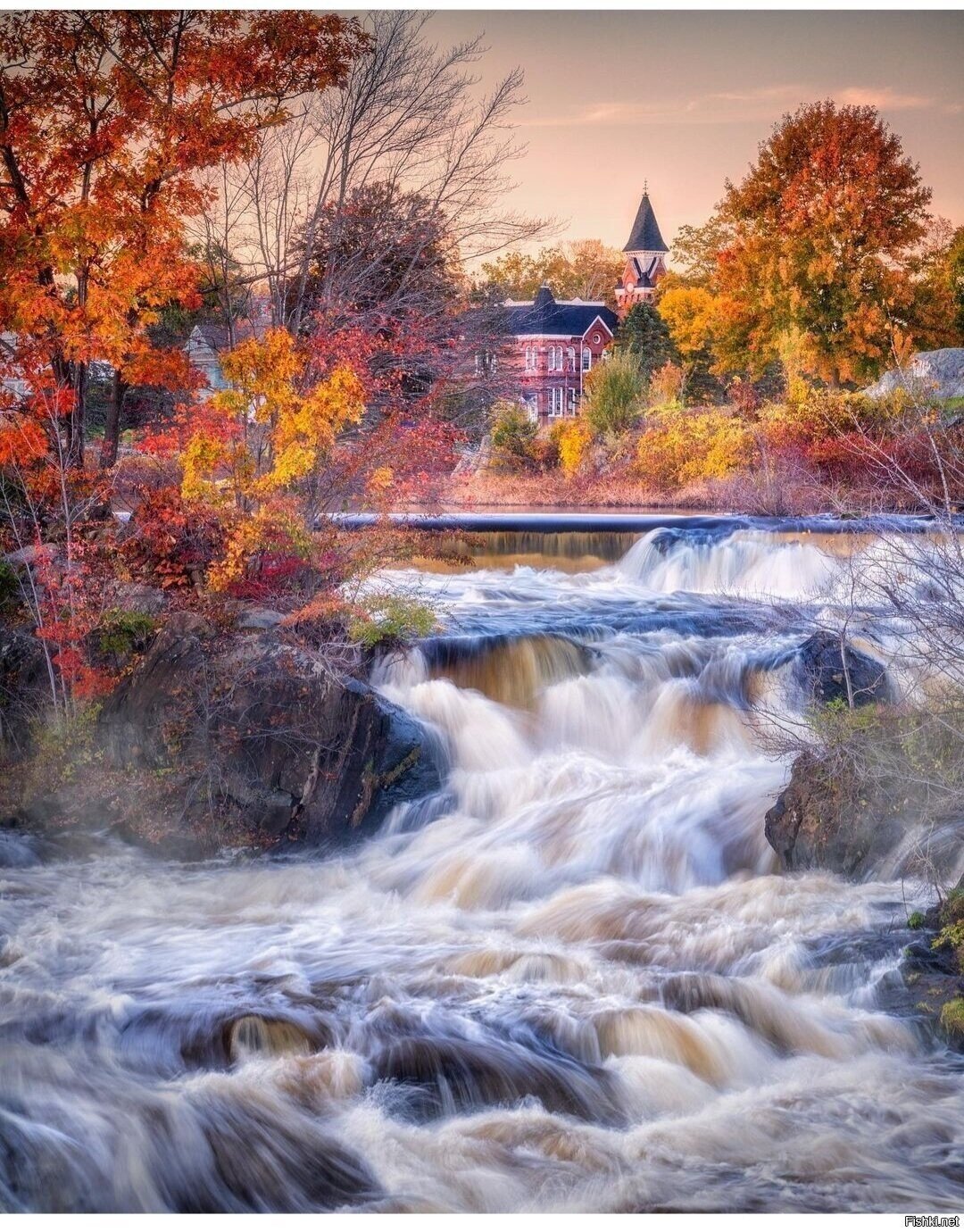 Солянка