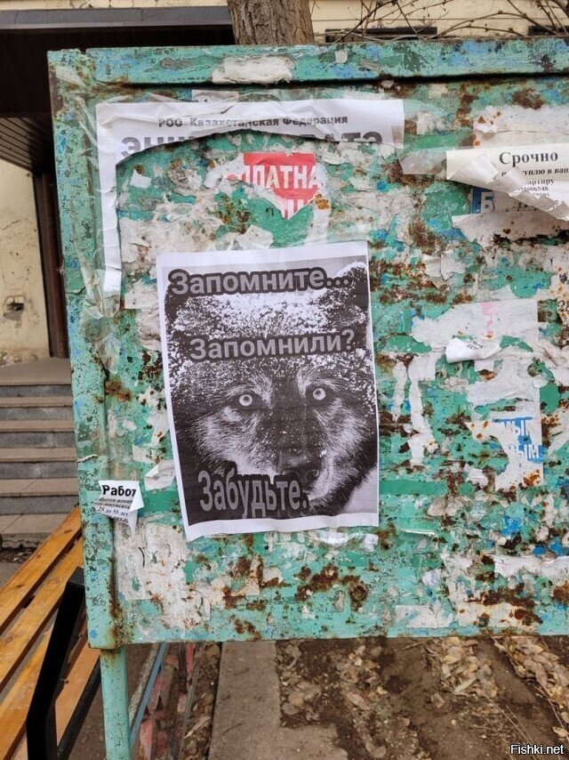 Здрасте