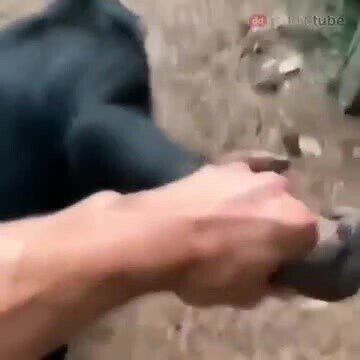 Когда, ты не знаешь как разрешить проблему