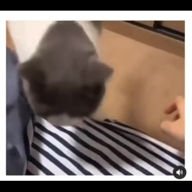 Спать