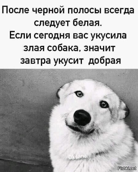 Написано, что от Оксаны