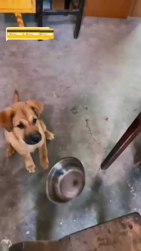 Пора обедать