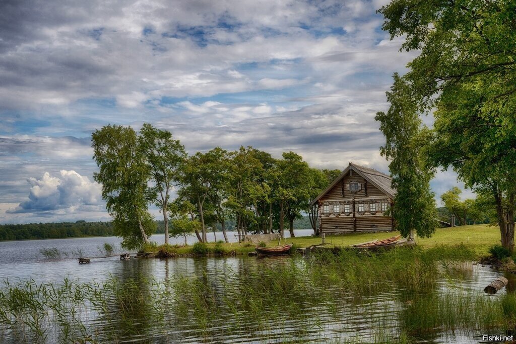 Солянка