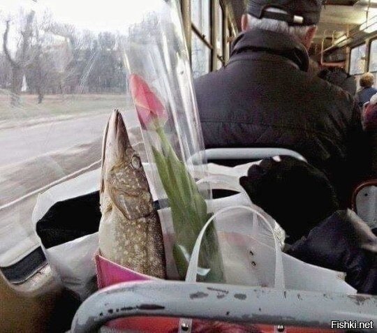 По-любому даст