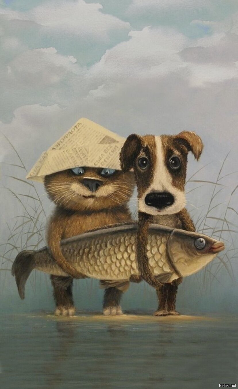 Солянка