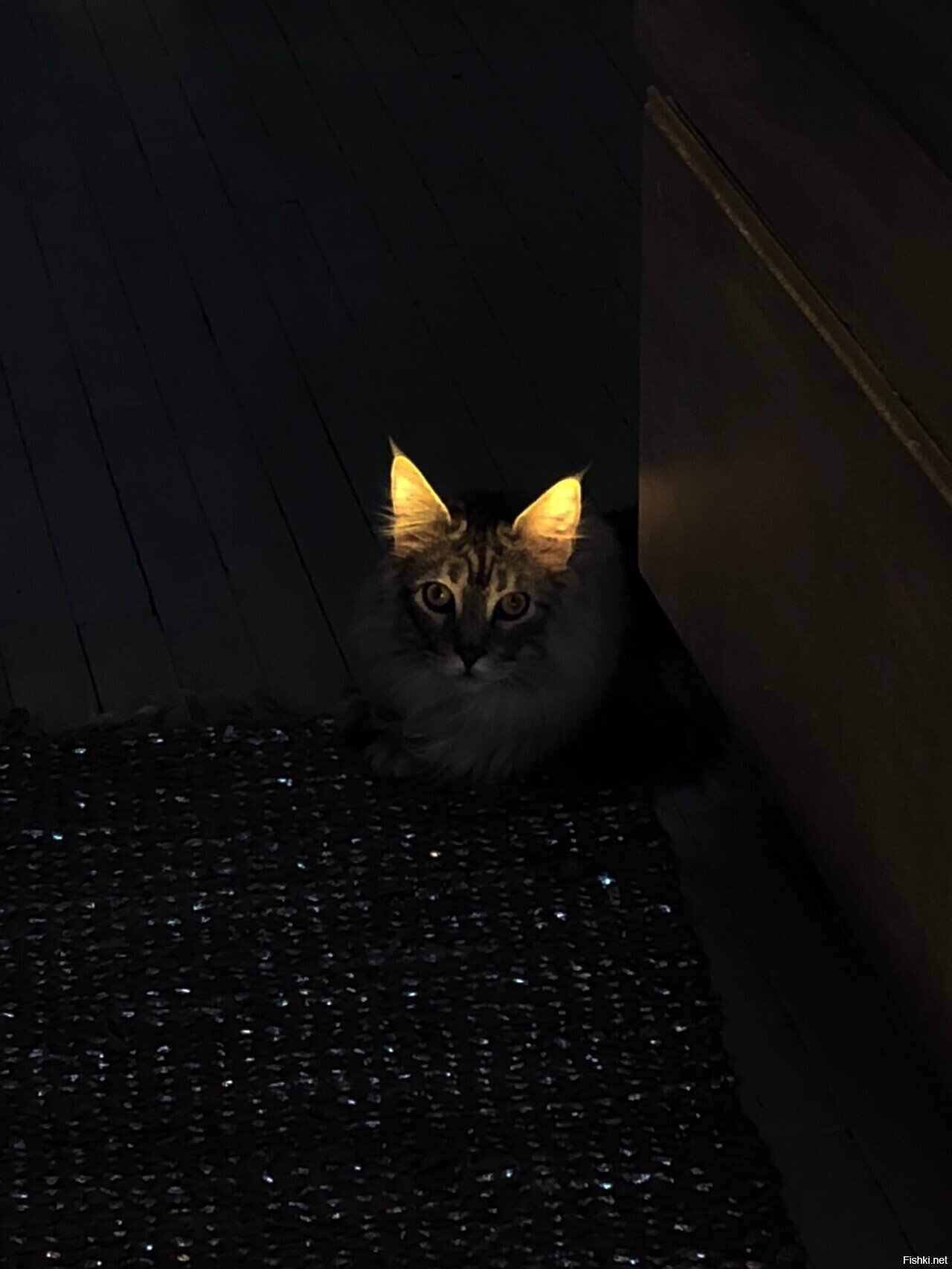 Фотограф Eric Kogan (Эрик Коган)