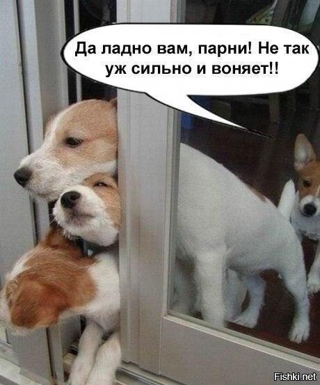 Джеки чтоль