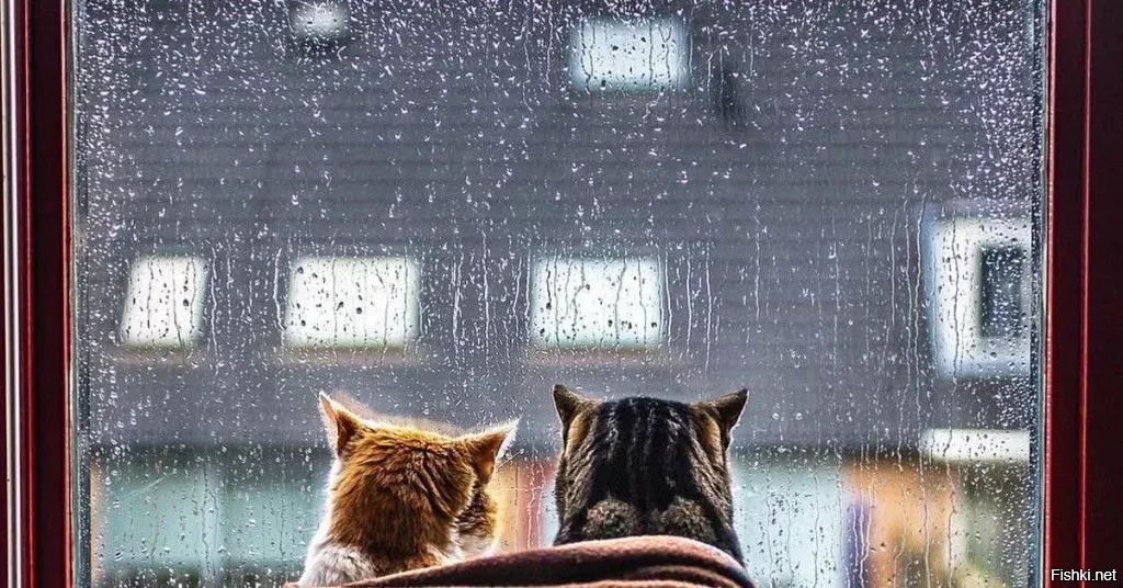 28 ноября,  Гурьев день (Гурьян, Зубной целитель, Гурий Морозный)