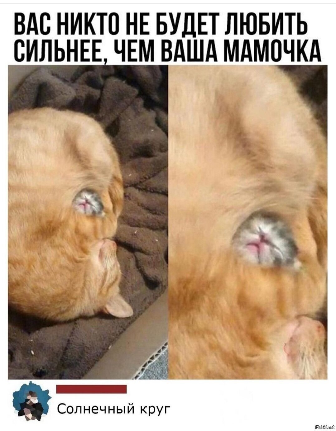 Доброе утро