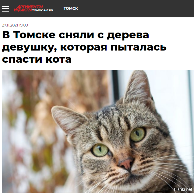 зачем томск ругают